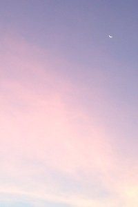 一番激战过后，冠军无悬念