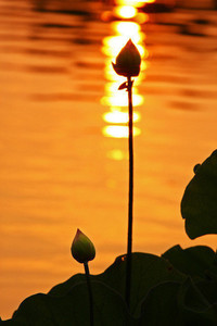 国米遭遇惨败，豪门失守在主场