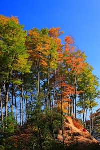 精湛技术展现，球员们在赛场上尽显风采