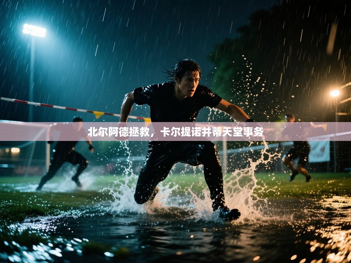 北尔阿德拯救，卡尔提诺并蒂天堂事务  第2张