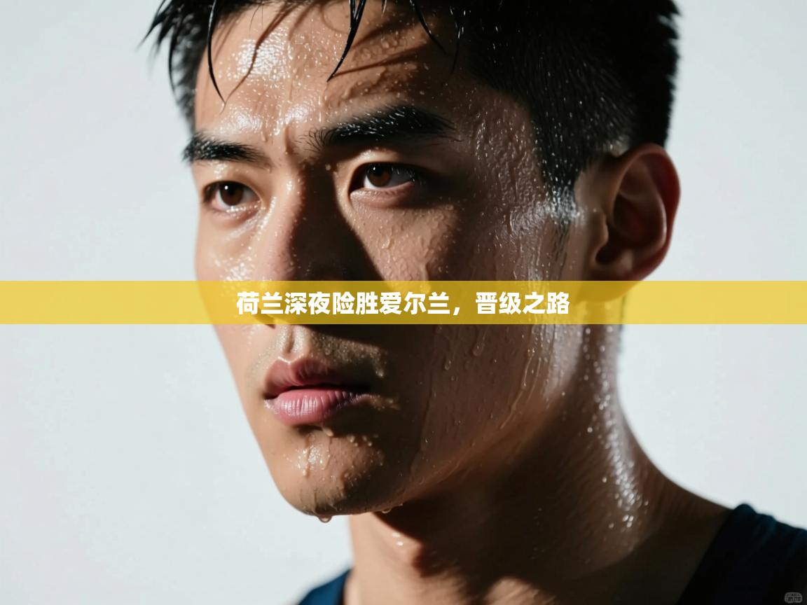 荷兰深夜险胜爱尔兰，晋级之路