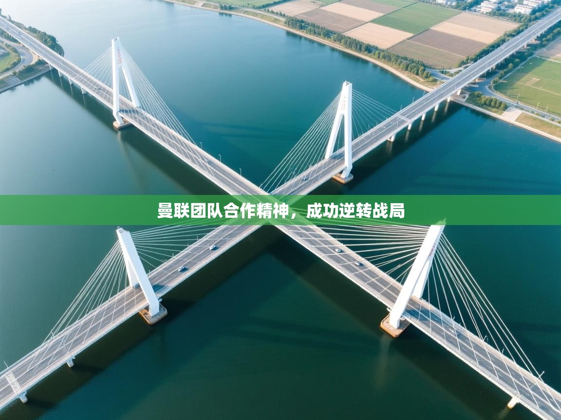 曼联团队合作精神，成功逆转战局  第1张