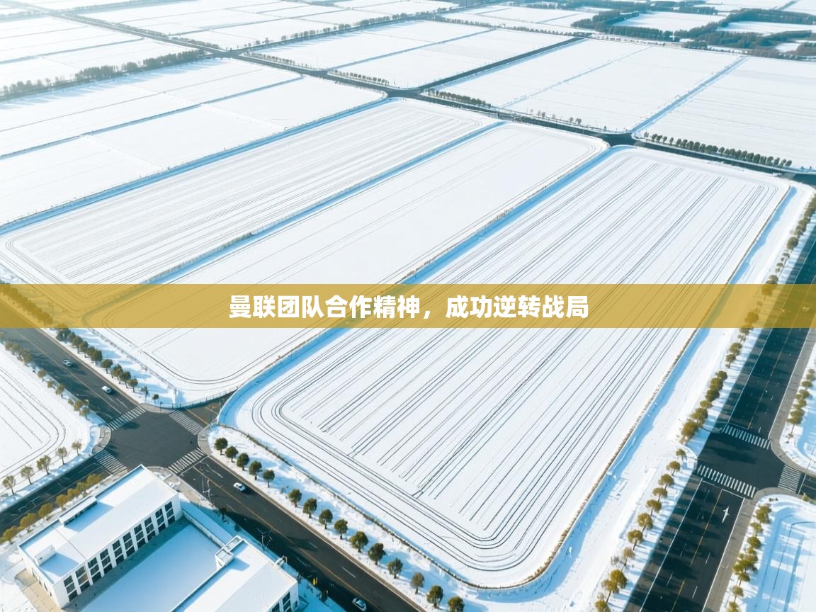 曼联团队合作精神，成功逆转战局  第2张