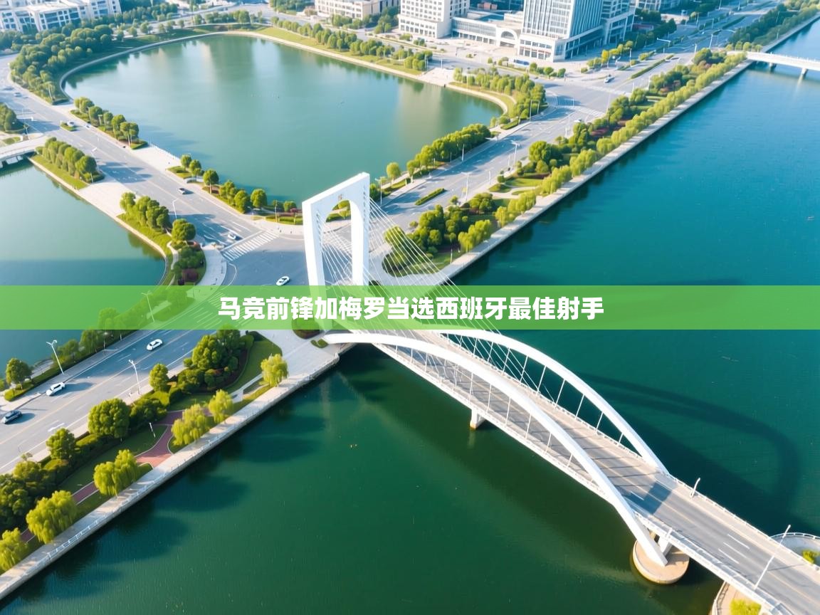 马竞前锋加梅罗当选西班牙最佳射手  第2张