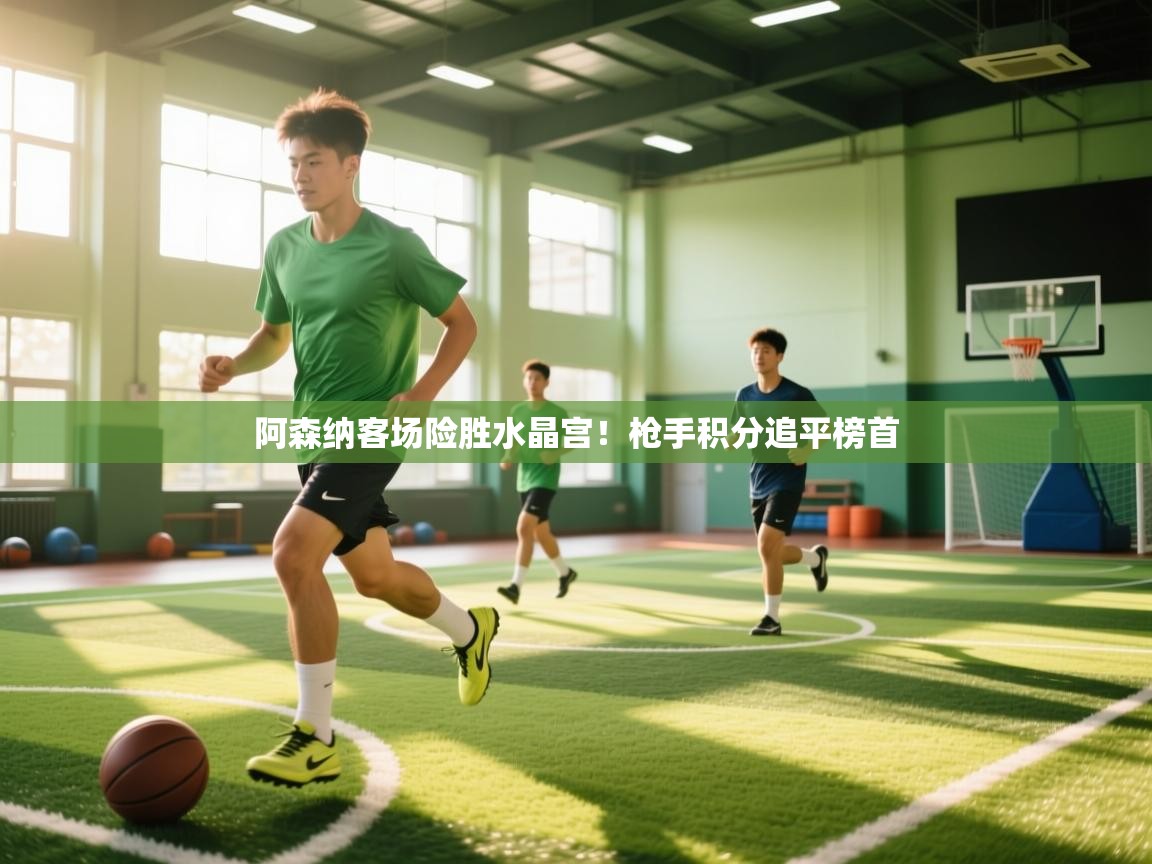 阿森纳客场险胜水晶宫！枪手积分追平榜首  第2张